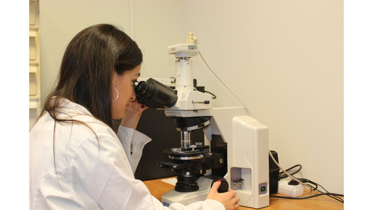 Microscopio