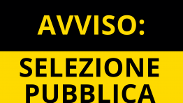 SELEZIONE PUBBLICA DOCENTI