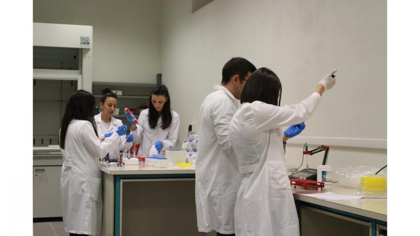 Lab Biologia