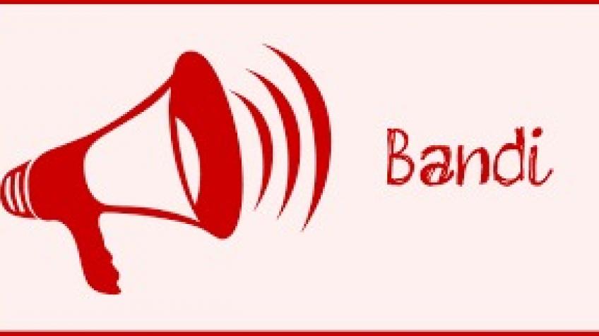 bando docenze
